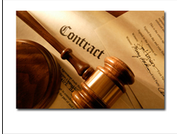 Civil Litigation & Appeals
